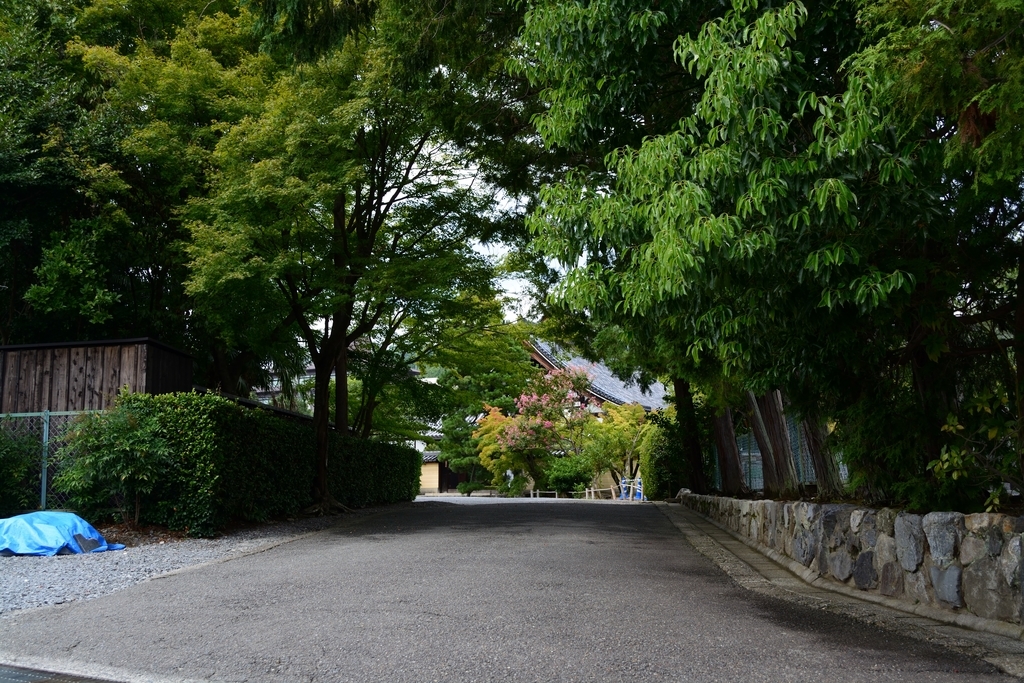 f:id:teru3emon:20180906213802j:plain f:id:teru3emon:20180906213802j:plain