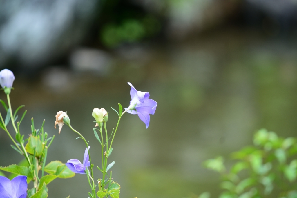f:id:teru3emon:20180906220125j:plain f:id:teru3emon:20180906220125j:plain