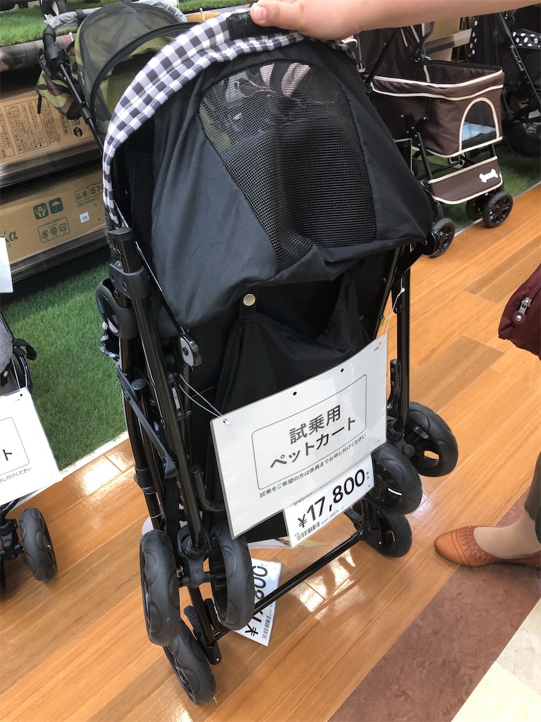 f:id:teru7000:20190728083408j:image f:id:teru7000:20190728083408j:image