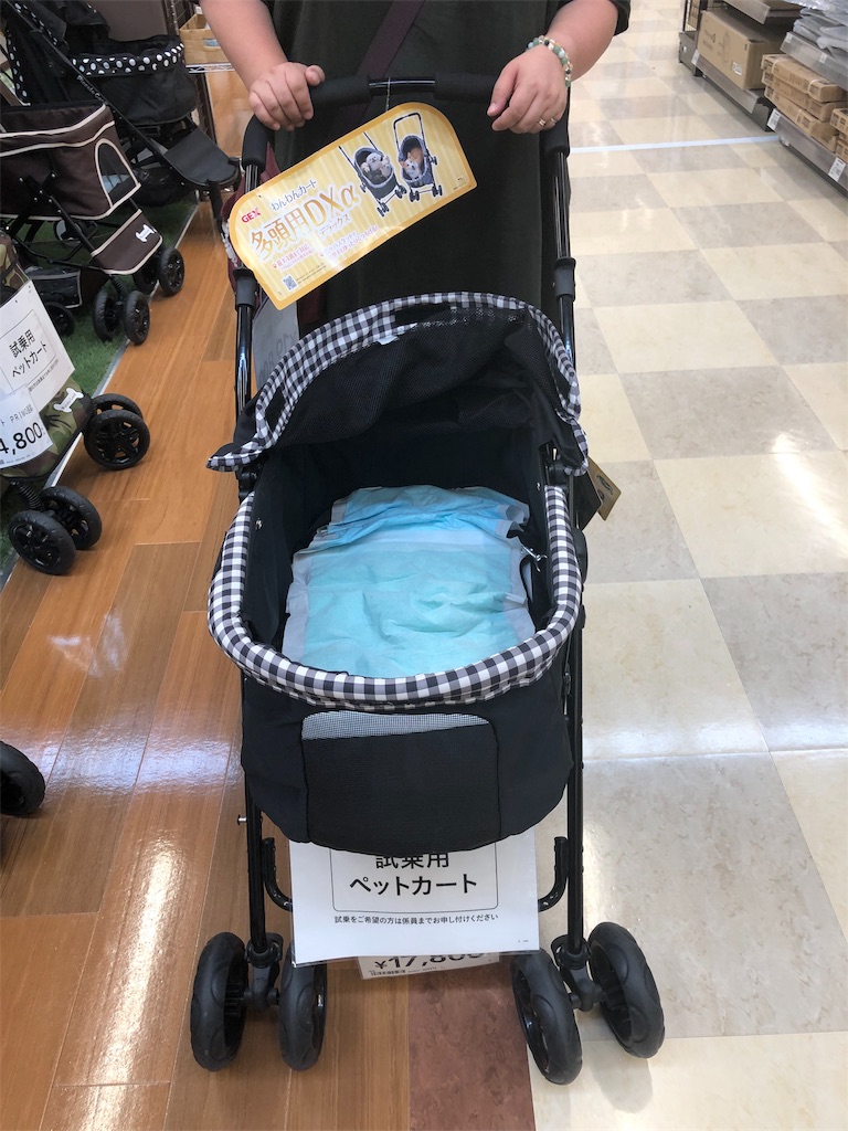 f:id:teru7000:20190728083412j:image f:id:teru7000:20190728083412j:image