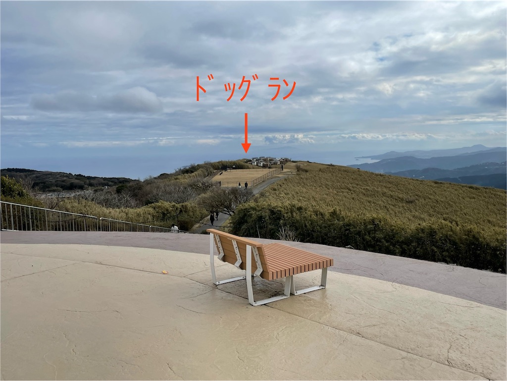f:id:teru7000:20240307192731j:image