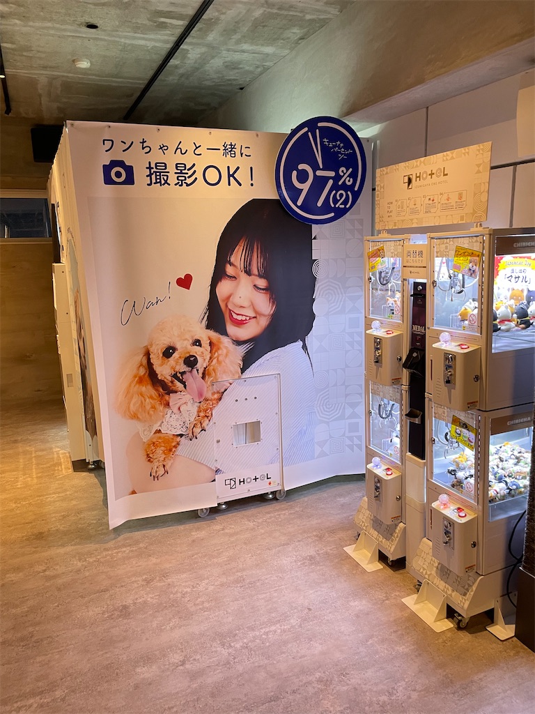f:id:teru7000:20241208065041j:image