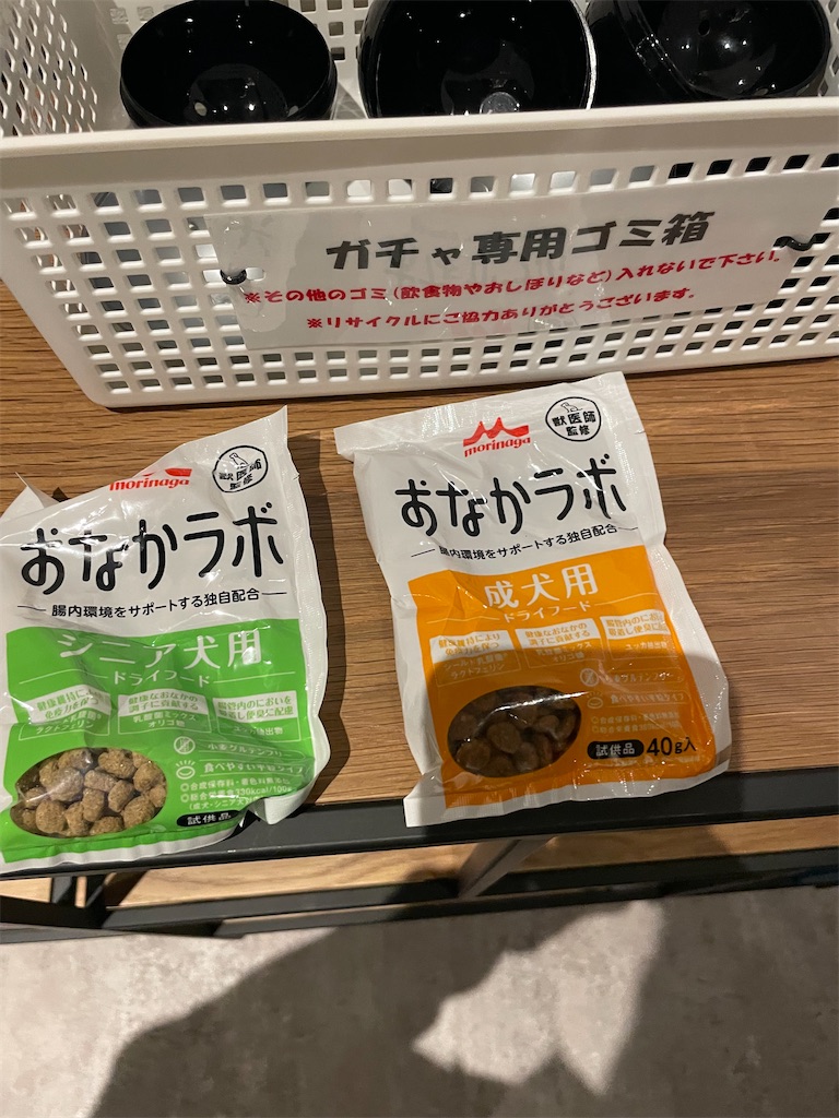 f:id:teru7000:20241218174834j:image