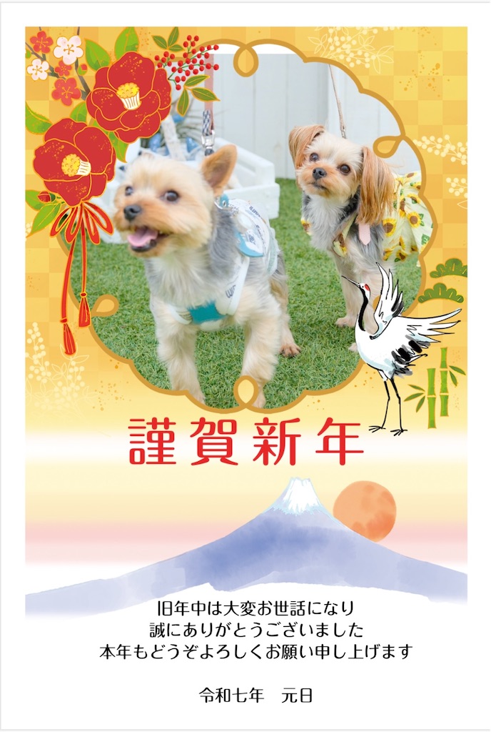 f:id:teru7000:20250101113411j:image
