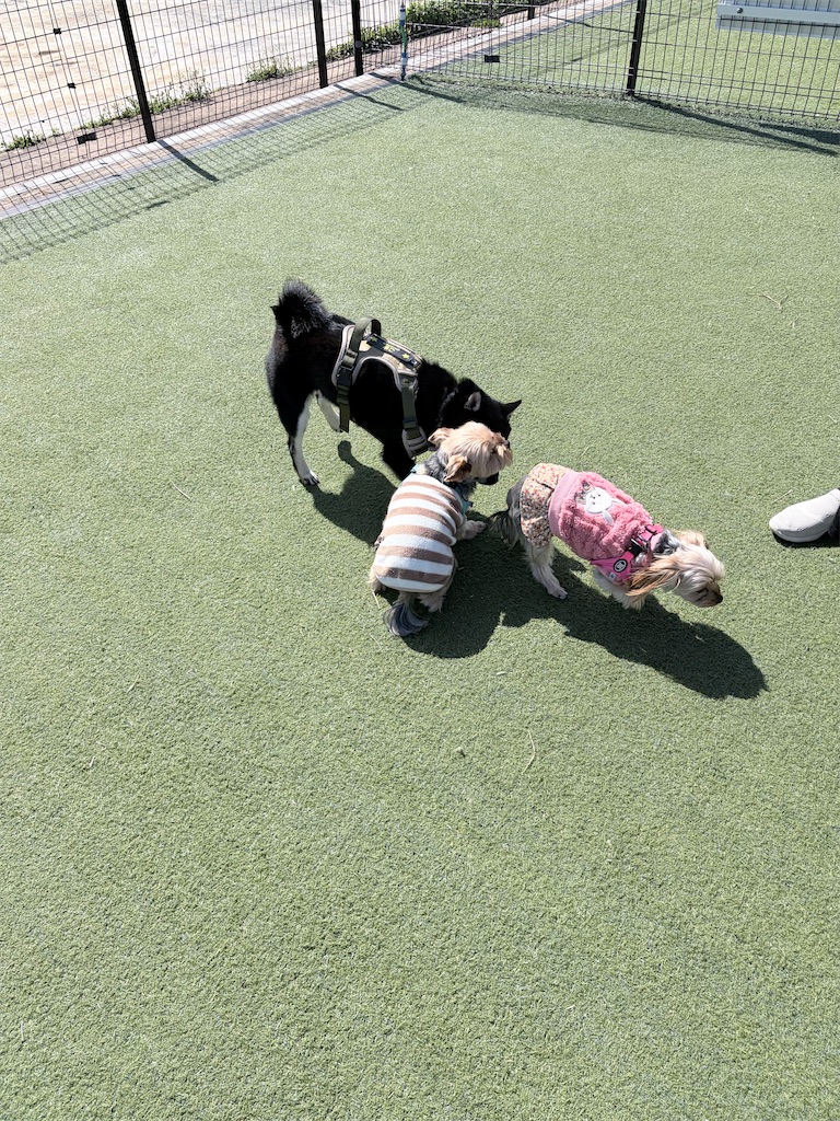 f:id:teru7000:20260307013150j:image