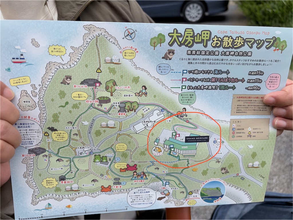 f:id:teru7000:20260526081428j:image