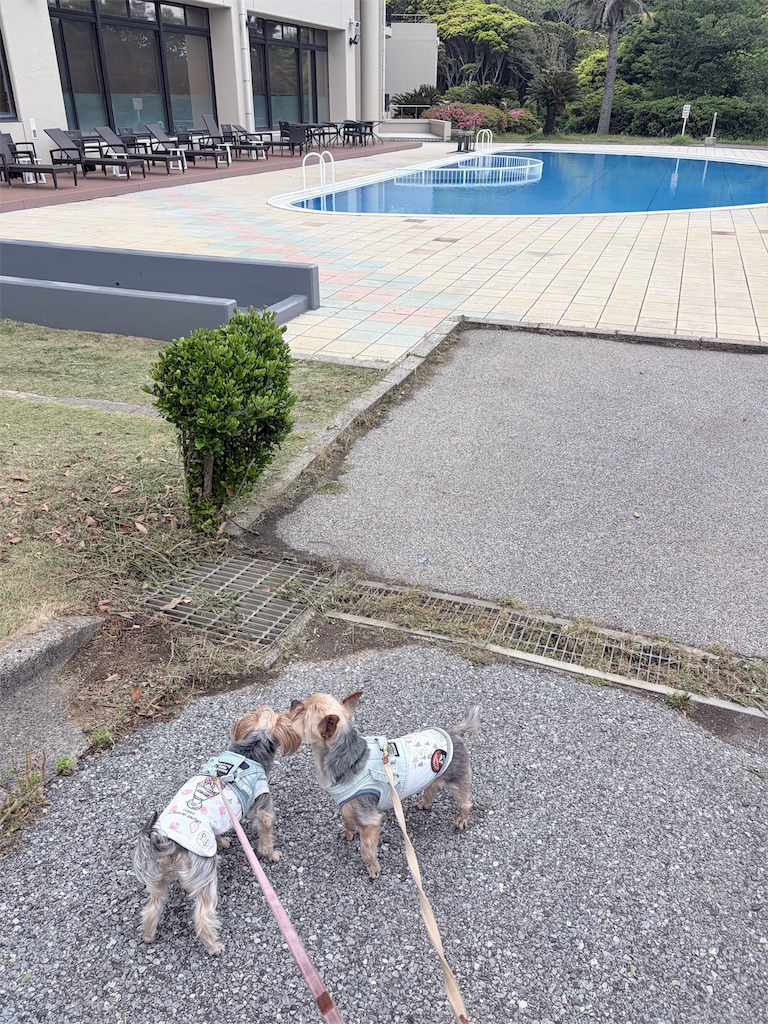 f:id:teru7000:20260528171545j:image