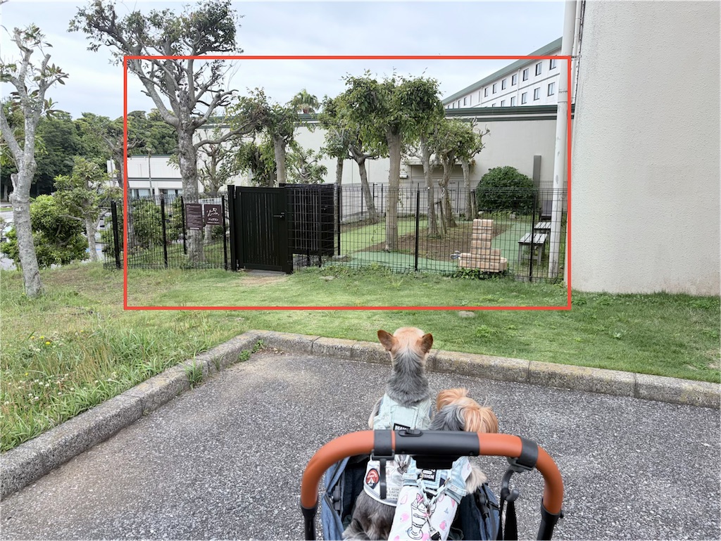 f:id:teru7000:20260528174202j:image