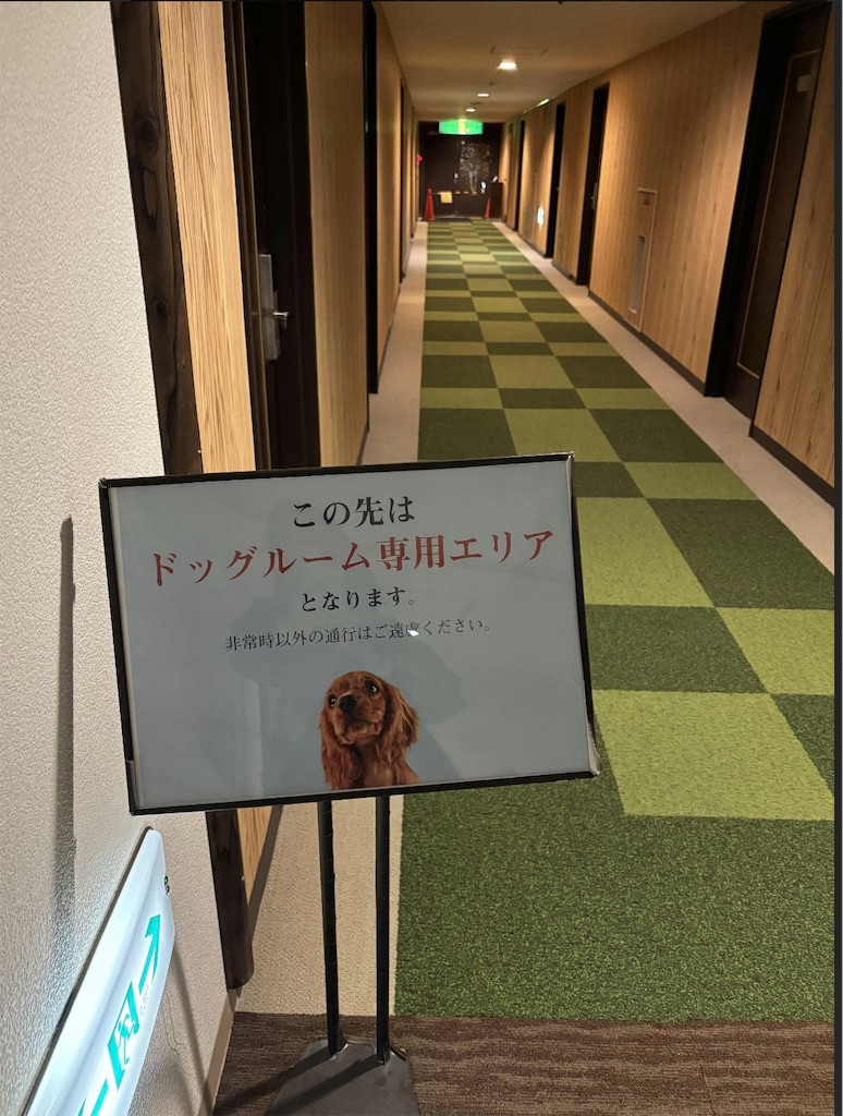 f:id:teru7000:20260530162903j:image