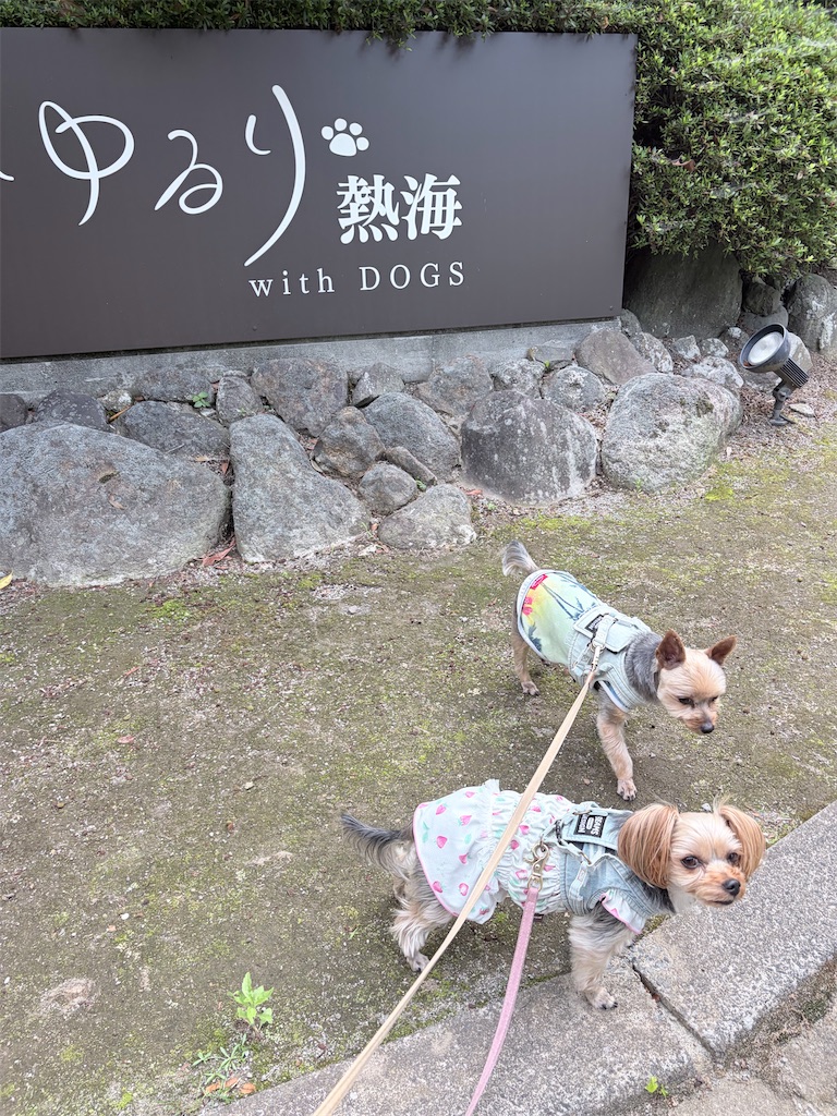 f:id:teru7000:20260614013306j:image