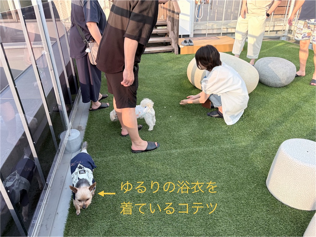 f:id:teru7000:20260624160853j:image
