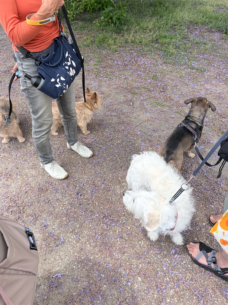f:id:teru7000:20260624175356j:image f:id:teru7000:20260624175356j:image