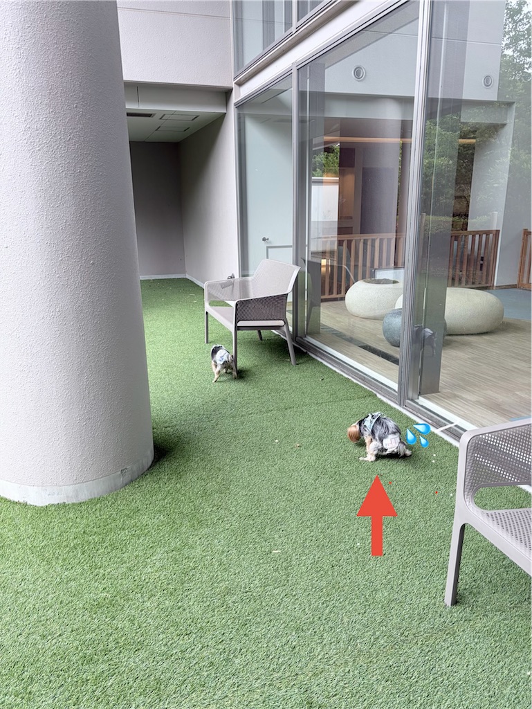f:id:teru7000:20260628130948j:image f:id:teru7000:20260628130948j:image