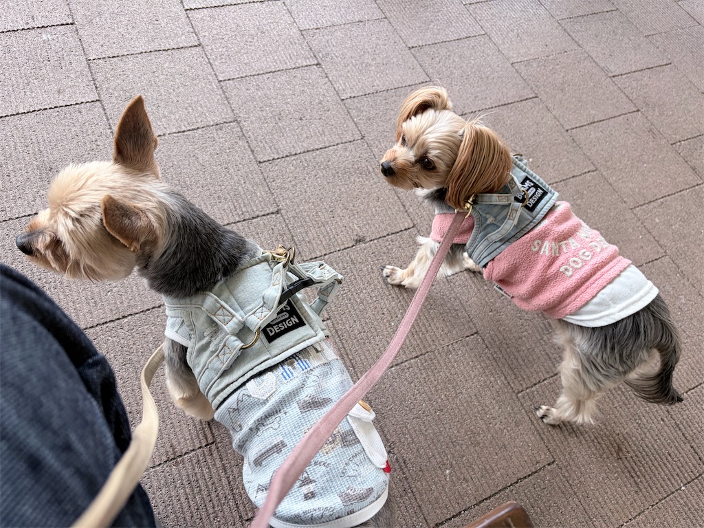 f:id:teru7000:20260704135122j:image f:id:teru7000:20260704135122j:image