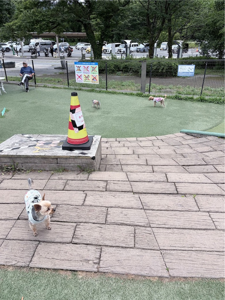 f:id:teru7000:20260704135144j:image f:id:teru7000:20260704135144j:image