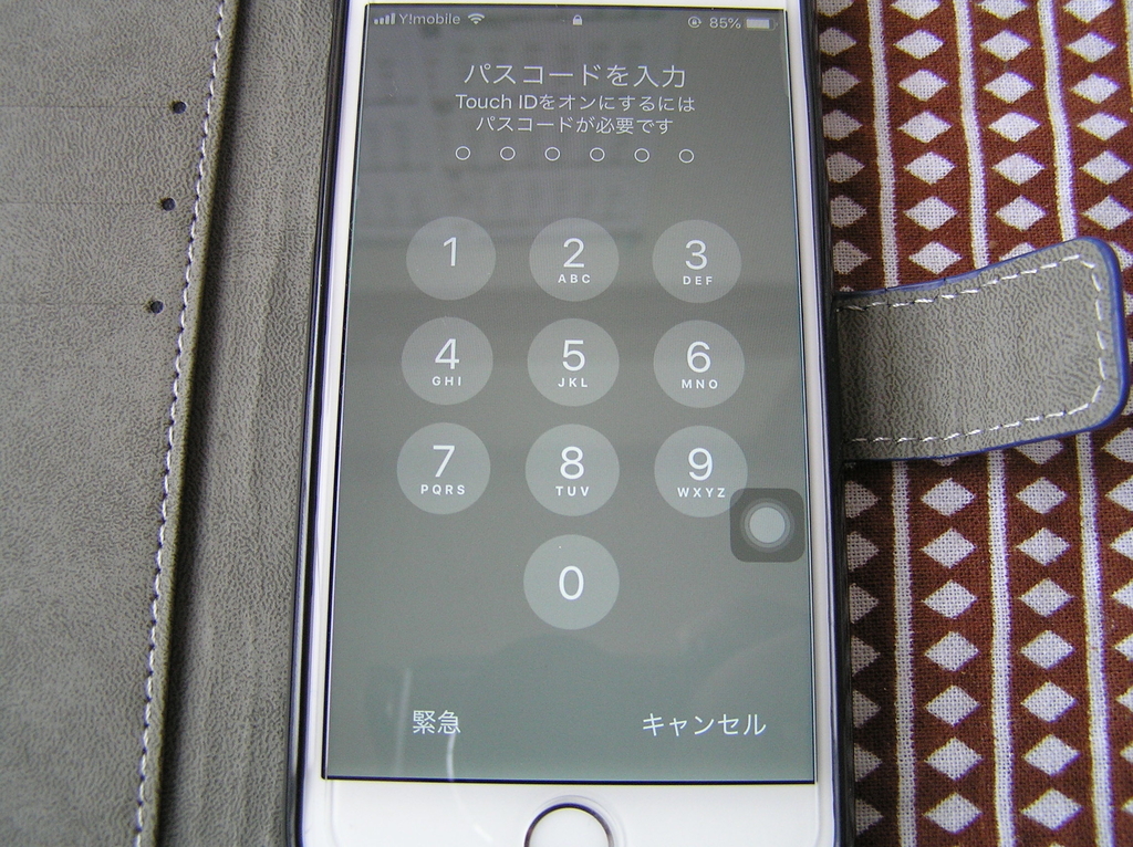 f:id:terubouzu-hare:20190223162108j:plain f:id:terubouzu-hare:20190223162108j:plain