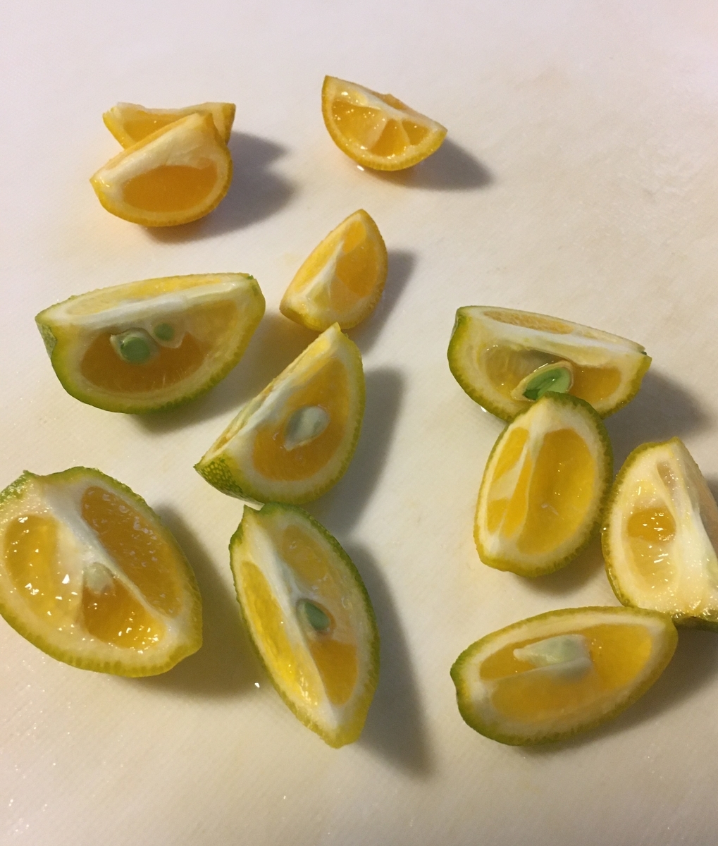 f:id:terubouzu-hare:20191203100334j:plain