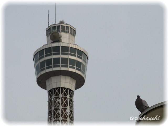 f:id:teruchanchi:20120620232926j:image:w360 f:id:teruchanchi:20120620232926j:image:w360