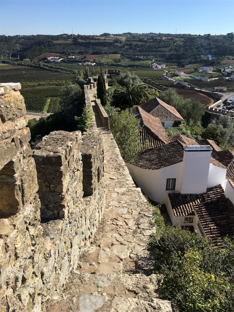 f:id:teruhanomori:20161119011821j:image f:id:teruhanomori:20161119011821j:image