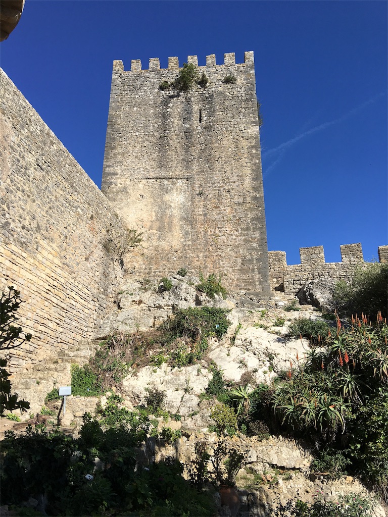 f:id:teruhanomori:20161119012145j:image f:id:teruhanomori:20161119012145j:image