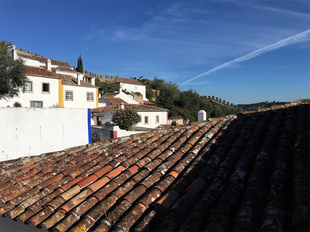 f:id:teruhanomori:20161119012941j:image f:id:teruhanomori:20161119012941j:image