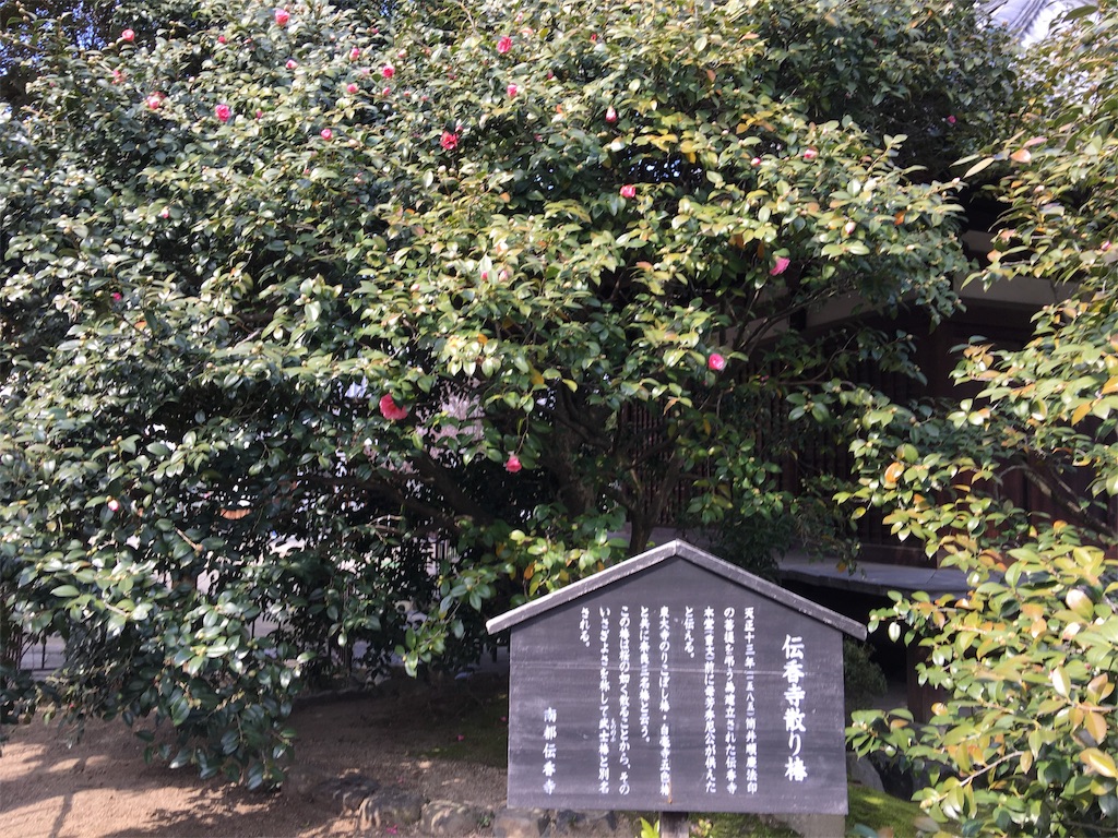 f:id:teruhanomori:20170316135316j:image f:id:teruhanomori:20170316135316j:image