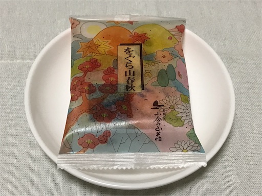 f:id:teruiwakura:20180828201537j:image