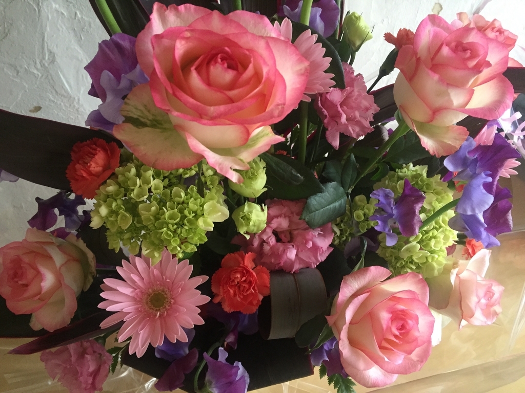 f:id:terumism:20190301182410j:plain