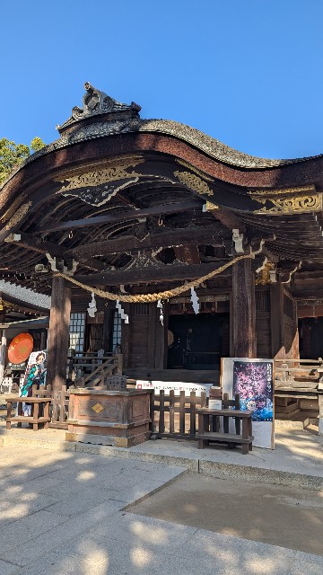 f:id:terumoko:20251110071841j:image