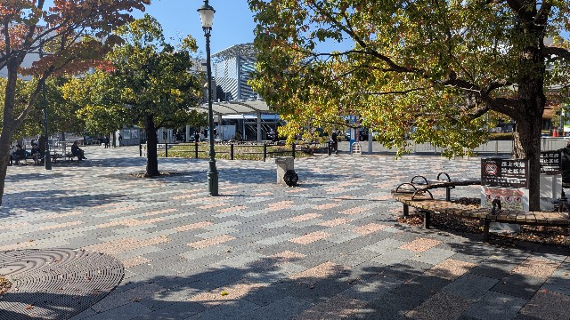 f:id:terumoko:20251110074354j:image