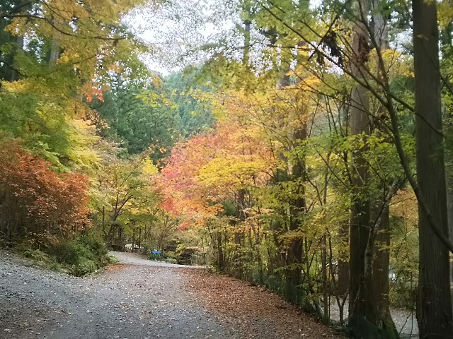 f:id:terunama12:20191112171303j:image