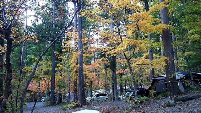 f:id:terunama12:20191112173431j:image