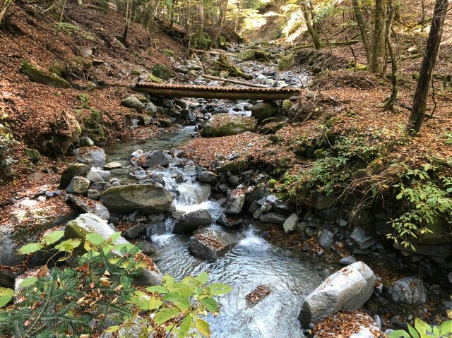 f:id:terunama12:20191113062015j:image