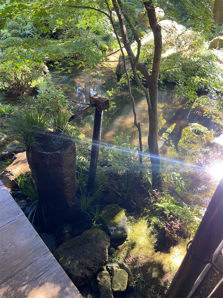 f:id:teruru1111:20241109212305j:image f:id:teruru1111:20241109212305j:image