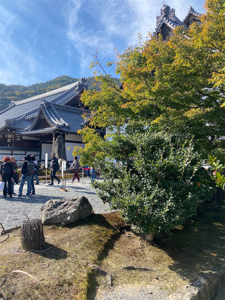 f:id:teruru1111:20241111124747j:image f:id:teruru1111:20241111124747j:image