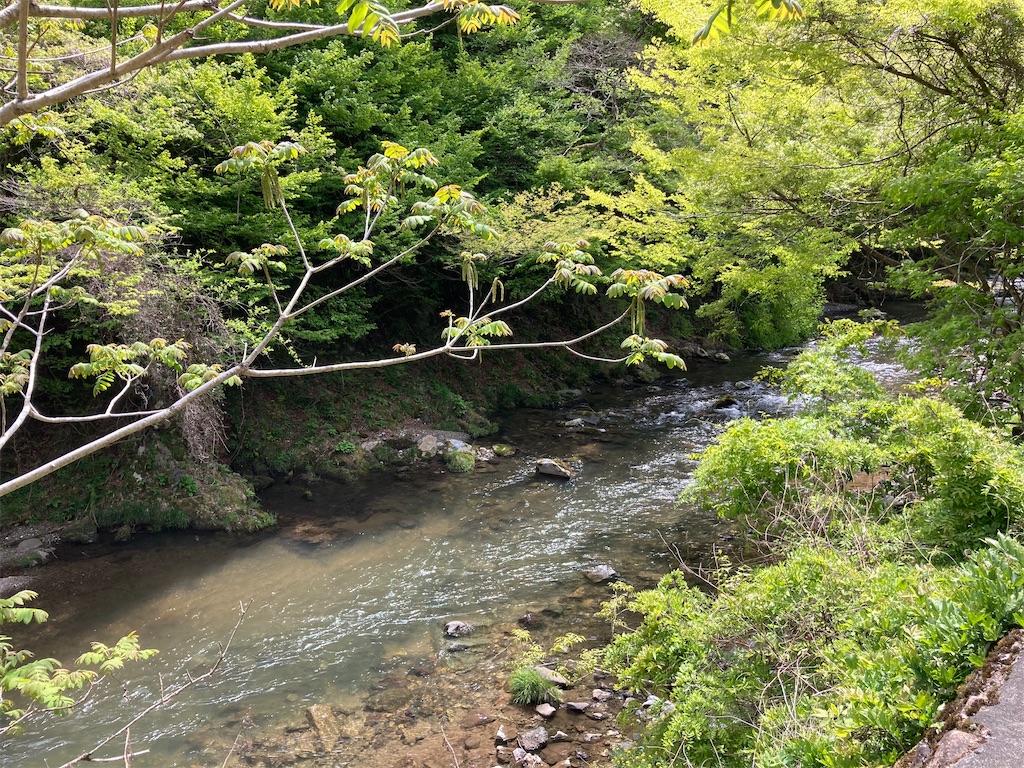 f:id:teruu862:20210523163159j:image