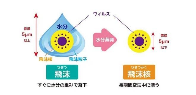 f:id:teruyastar:20210812005719j:plain