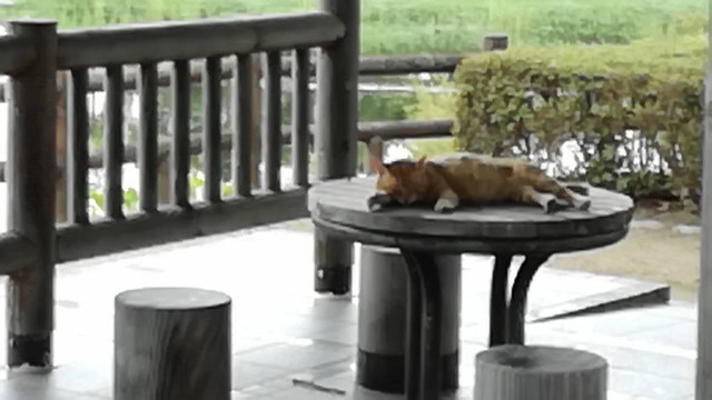f:id:teryuryu:20190718062850j:image