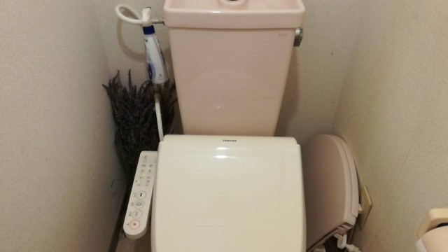 f:id:teryuryu:20190727175236j:image f:id:teryuryu:20190727175236j:image