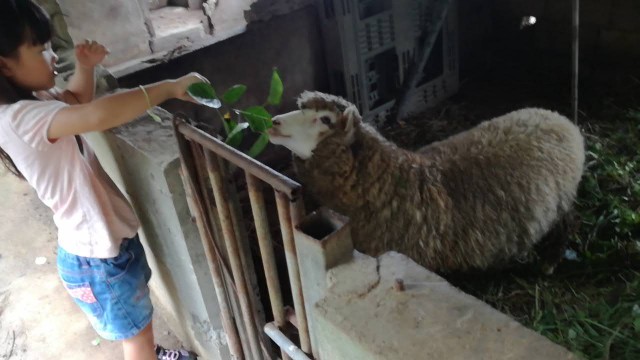 f:id:teryuryu:20190811214942j:image f:id:teryuryu:20190811214942j:image