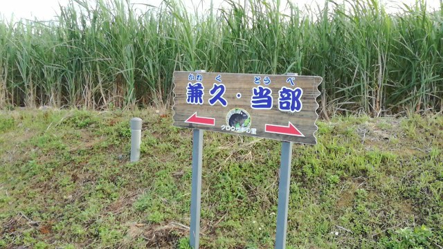 f:id:teryuryu:20190824080958j:image f:id:teryuryu:20190824080958j:image