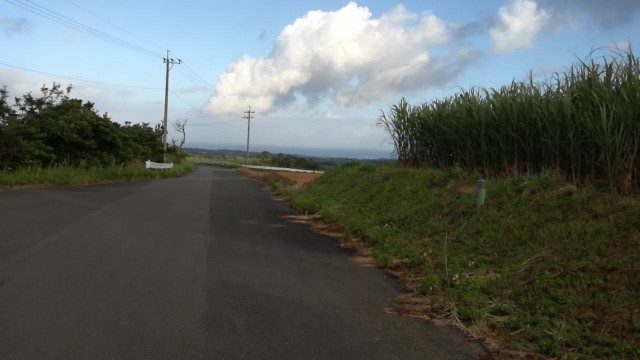 f:id:teryuryu:20190824081011j:image f:id:teryuryu:20190824081011j:image