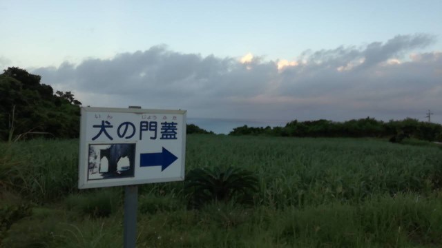 f:id:teryuryu:20190824084959j:image f:id:teryuryu:20190824084959j:image