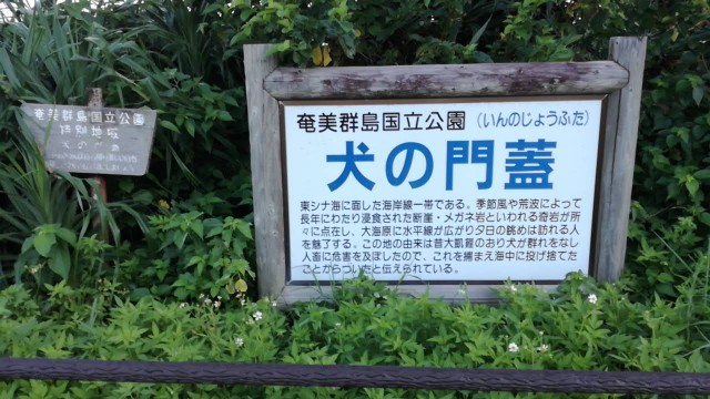 f:id:teryuryu:20190824085320j:image f:id:teryuryu:20190824085320j:image