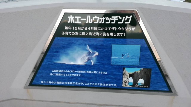 f:id:teryuryu:20190824203843j:image f:id:teryuryu:20190824203843j:image