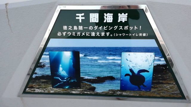 f:id:teryuryu:20190824203919j:image f:id:teryuryu:20190824203919j:image