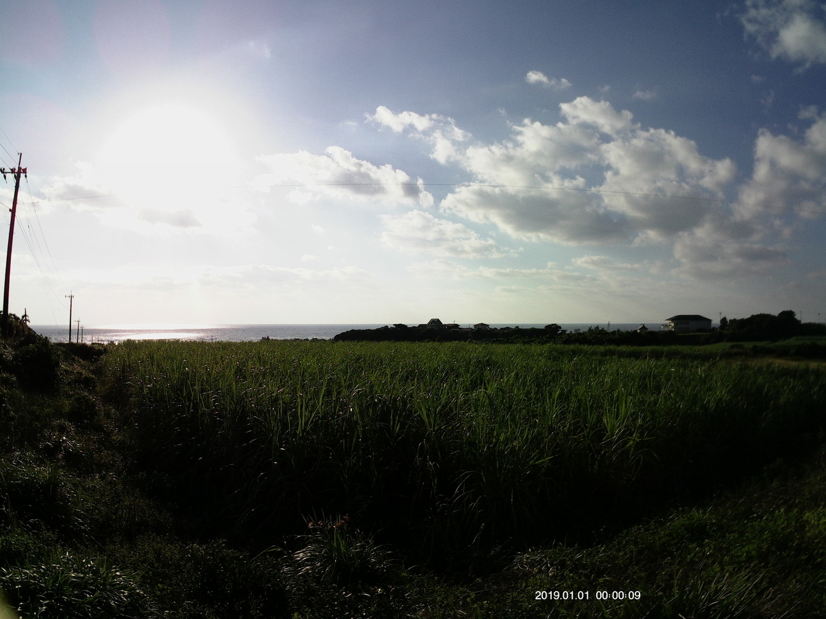 f:id:teryuryu:20191102191934j:plain f:id:teryuryu:20191102191934j:plain