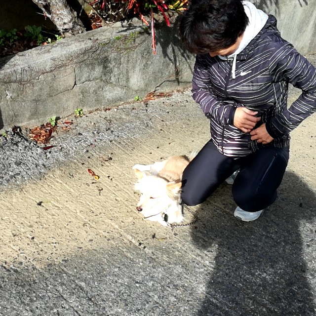 f:id:teryuryu:20191203144041j:image
