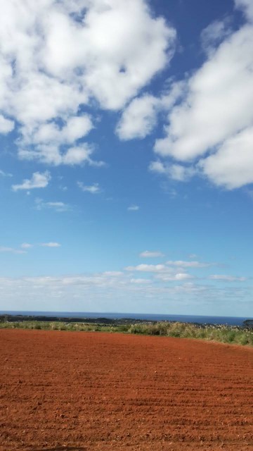 f:id:teryuryu:20191215053736j:image f:id:teryuryu:20191215053736j:image