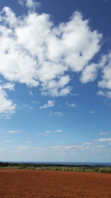 f:id:teryuryu:20191215053752j:image f:id:teryuryu:20191215053752j:image